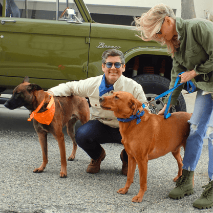 Malibu Sunset Sustainable Hemp Cotton Adjustable Dog Collar 