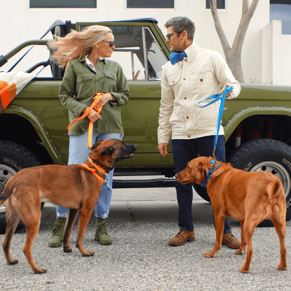Malibu Sunset Sustainable Hemp Cotton Adjustable Dog Leash 