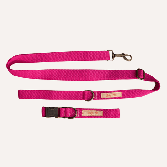 Malibu Sunset Sustainable Hemp Cotton Adjustable Dog Leash – Durable & Soft