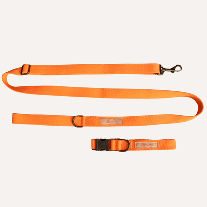 Malibu Sunset Sustainable Hemp Cotton Adjustable Dog Leash 