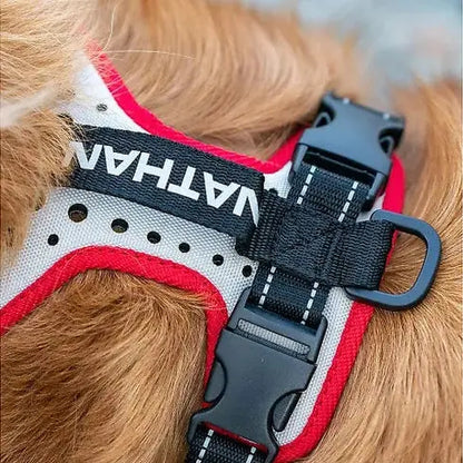 Nathan reflective dog harness