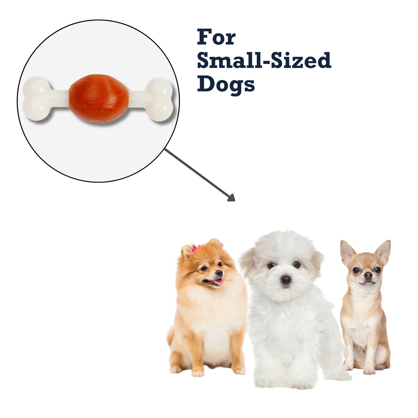 Country Living Bone Dog Chew Toy beef-flavored TPR and nylon bone for small dogs dental support durable safe pet toy