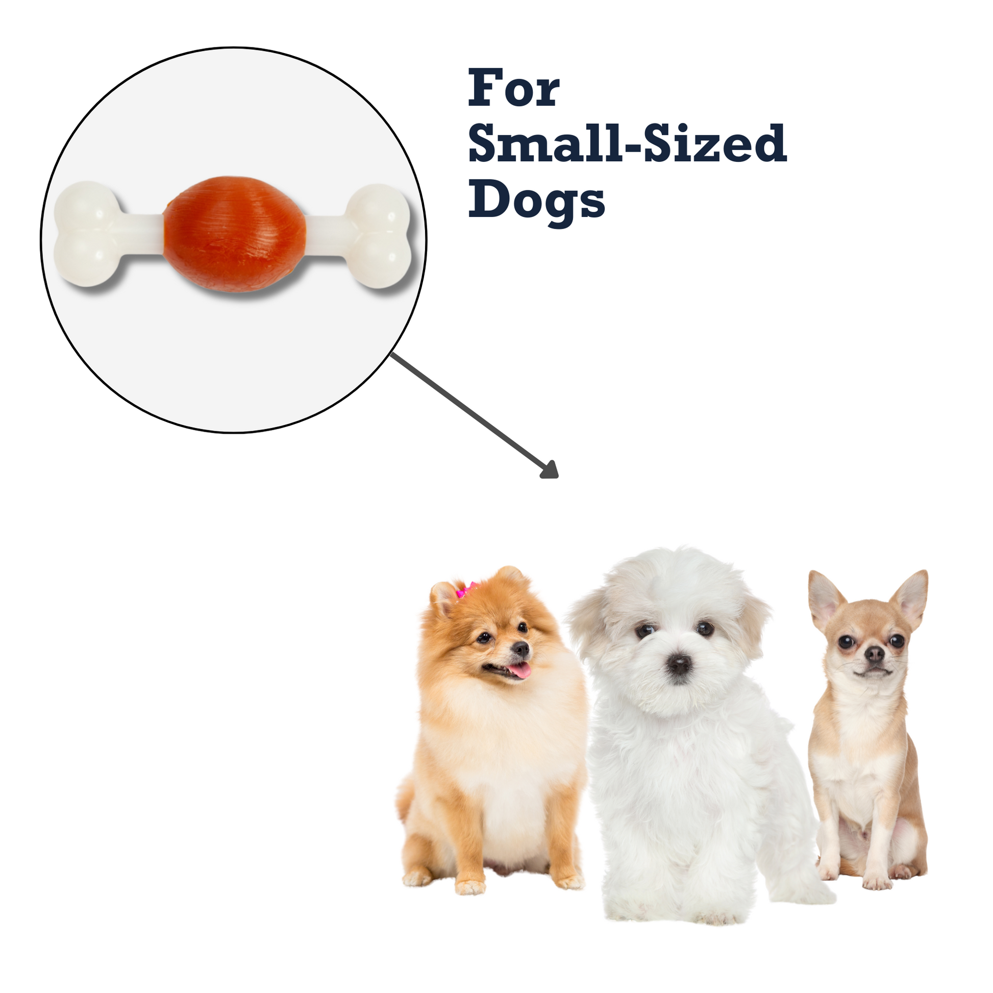 Country Living Bone Dog Chew Toy beef-flavored TPR and nylon bone for small dogs dental support durable safe pet toy