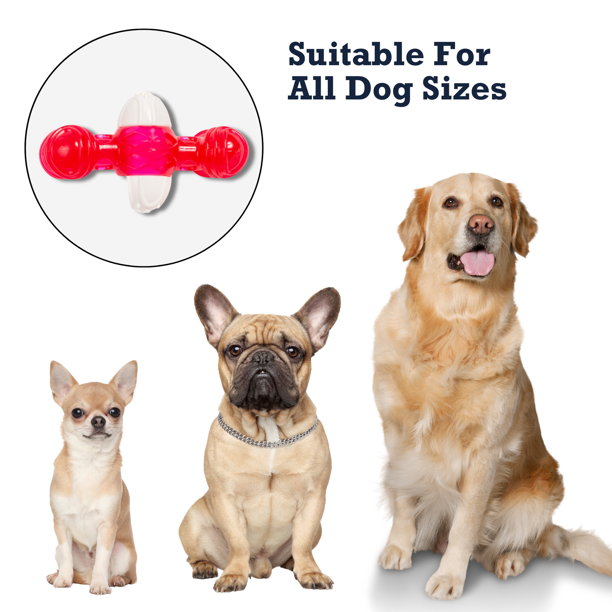 Country Living TPR & Nylon quacker bone chew toy with quacking sound, suitable for all dog sizes including small, medium, and large breeds