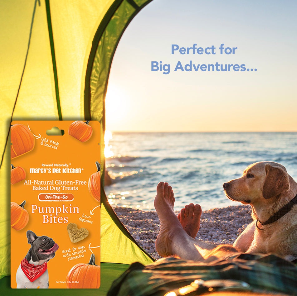 💥 Marcy's Pet Kitchen® - 'On-The-Go' All-Natural, Vegan Pumpkin Biscuit 1oz - 🚚+🛍️=2x!
