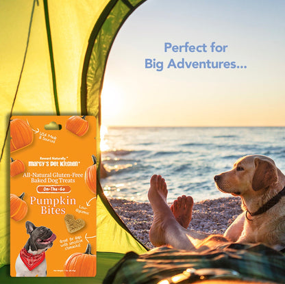 💥 Marcy's Pet Kitchen® - 'On-The-Go' All-Natural, Vegan Pumpkin Biscuit 1oz - 🚚+🛍️=2x!