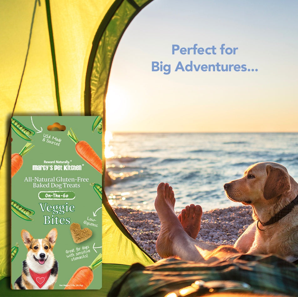 All-Natural Vegan Veggie Biscuit - Healthy Dog Treats - Sensitive Dogs