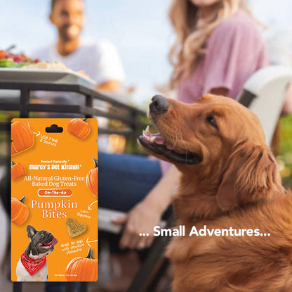 💥 Marcy's Pet Kitchen® - 'On-The-Go' All-Natural, Vegan Pumpkin Biscuit 1oz - 🚚+🛍️=2x!