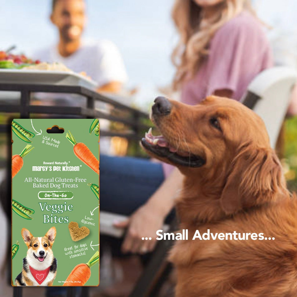All-Natural Vegan Veggie Biscuit - Healthy Dog Treats - Sensitive Dogs