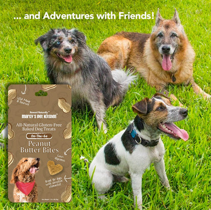 All-Natural Vegan Peanut Butter Biscuit for Dogs -Marcy's Pet Kitchen®