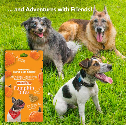 💥 Marcy's Pet Kitchen® - 'On-The-Go' All-Natural, Vegan Pumpkin Biscuit 1oz - 🚚+🛍️=2x!