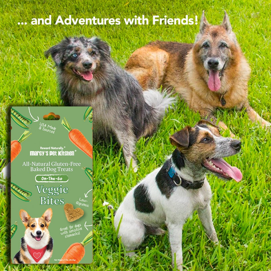 All-Natural Vegan Veggie Biscuit - Healthy Dog Treats - Sensitive Dogs