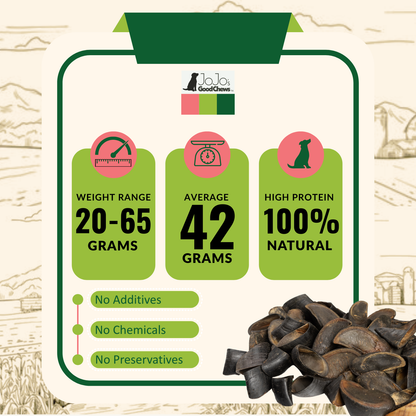 All-natural cow hooves dog chews, 25-count case, high-protein, low-fat, no additives, promotes dental health and tartar control.