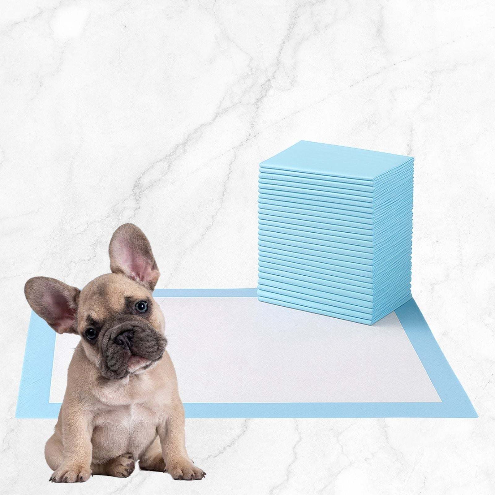 30 count absorbent puppy pads with leak-proof design and sticky bottom for secure placement