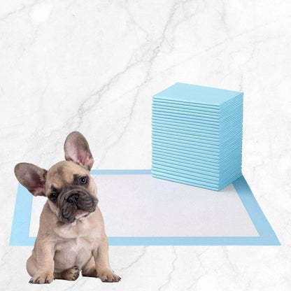 30 count absorbent puppy pads with leak-proof design and sticky bottom for secure placement