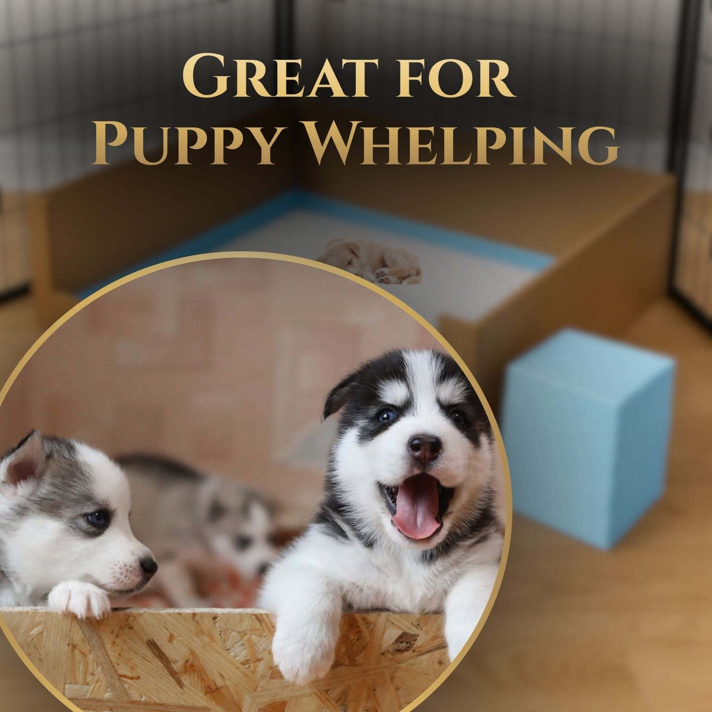 Stack of absorbent puppy pads with sticky bottom for leak-proof protection and quick moisture absorption