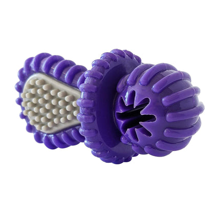 Purple rubber dental pacifier dog toy with ridges and treat hole for chewing and oral health