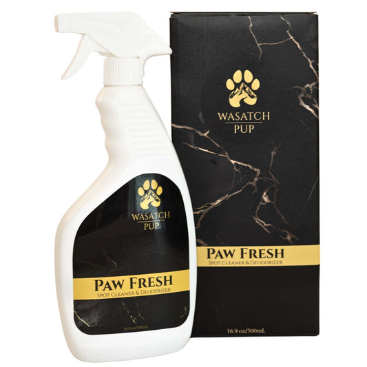 Paw Fresh spot cleaner and deodorizer spray bottle with black and gold packaging for pet stain and odor removal