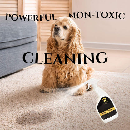 Non-toxic enzymatic spot cleaner and deodorizer for pet stains with natural odor elimination