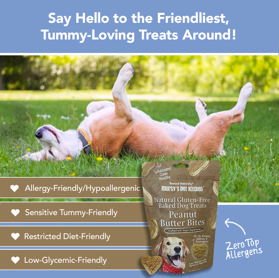 All-Natural Vegan Peanut Butter Biscuit for Dogs -Marcy's Pet Kitchen®