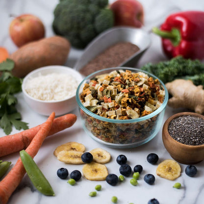 bowl of grain free dog food premix surrounded by fresh vegetables and fruits ingredients