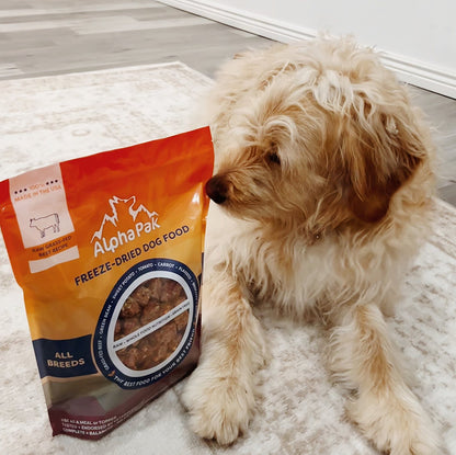 Dog next to Premium Raw Freeze Dried Dog Food beef blend bag for all breeds and ages