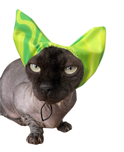 Sphynx cat wearing green pets shower cap for water and sun protection