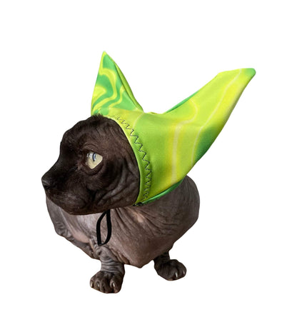 cat wearing green pets shower cap for ear and sun protection