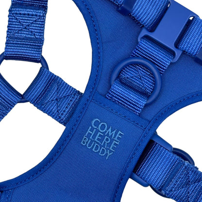 Blue padded step in dog harness with adjustable straps and secure buckle by Come Here Buddy
