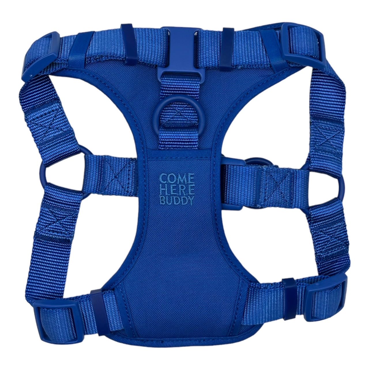 Blue padded adjustable step in dog harness with front and back D-rings for secure walking