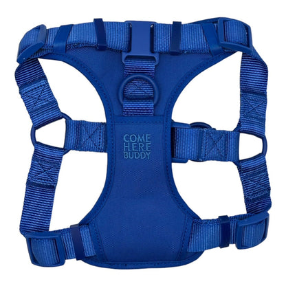 Blue padded adjustable step in dog harness with front and back D-rings for secure walking