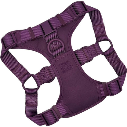 Purple padded step in dog harness with adjustable straps and secure buckles