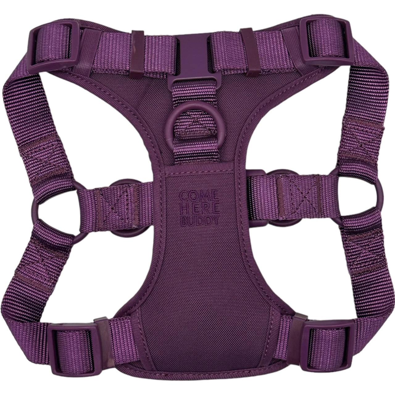 Purple padded step in dog harness with adjustable straps and back and front D-rings for secure, comfortable walks
