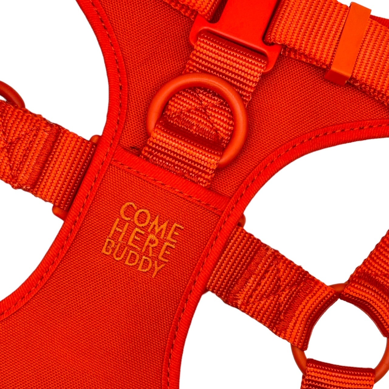 Red padded Step In Dog Harness with adjustable straps and secure buckles for comfortable, safe dog walks.