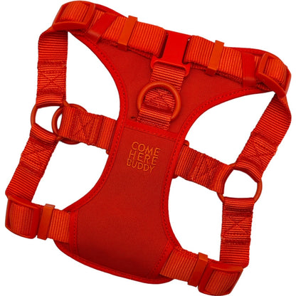 Red padded step in dog harness with adjustable straps and secure buckles for comfortable walks
