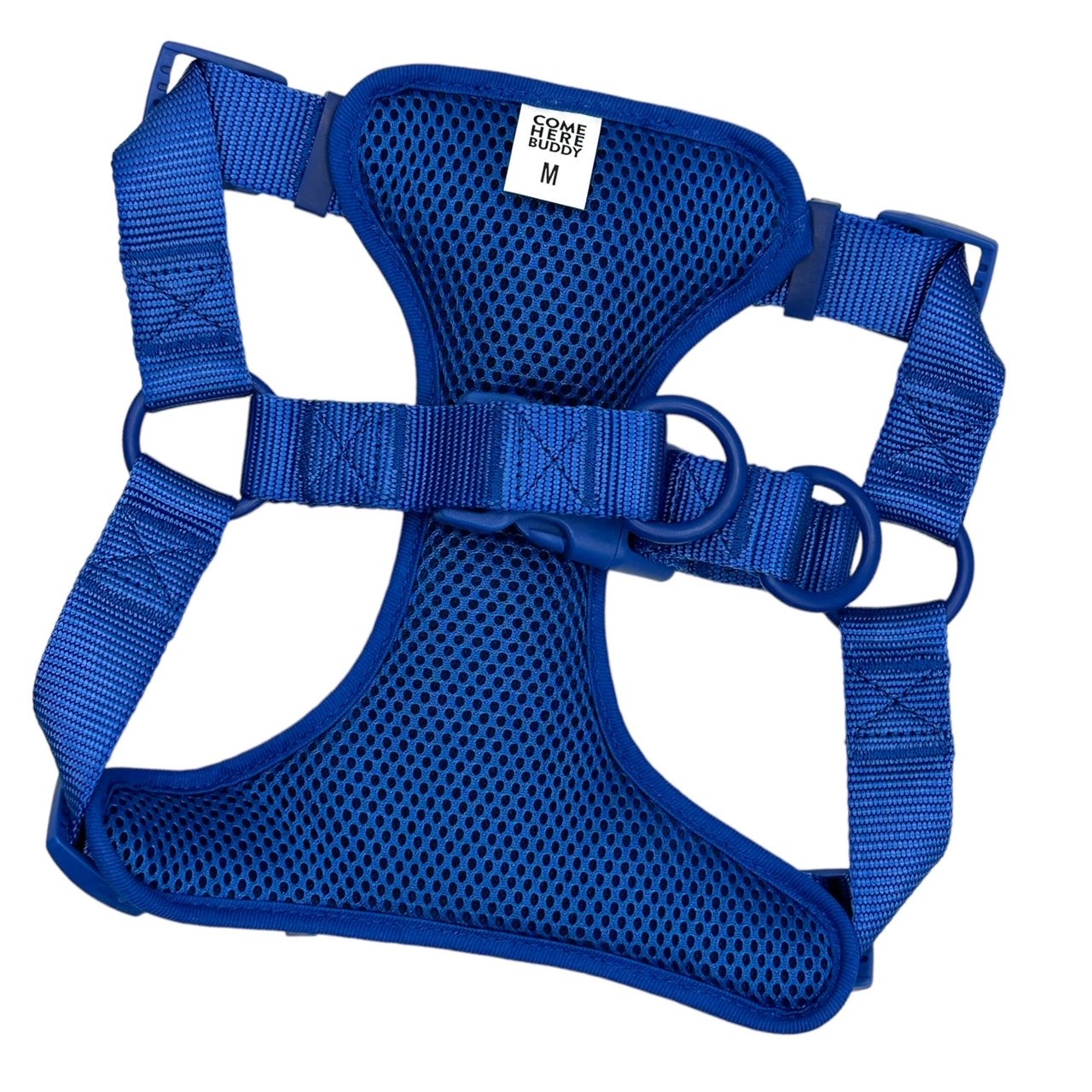 Blue padded step in dog harness with adjustable straps and secure buckles