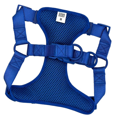 Blue padded step in dog harness with adjustable straps and secure buckles