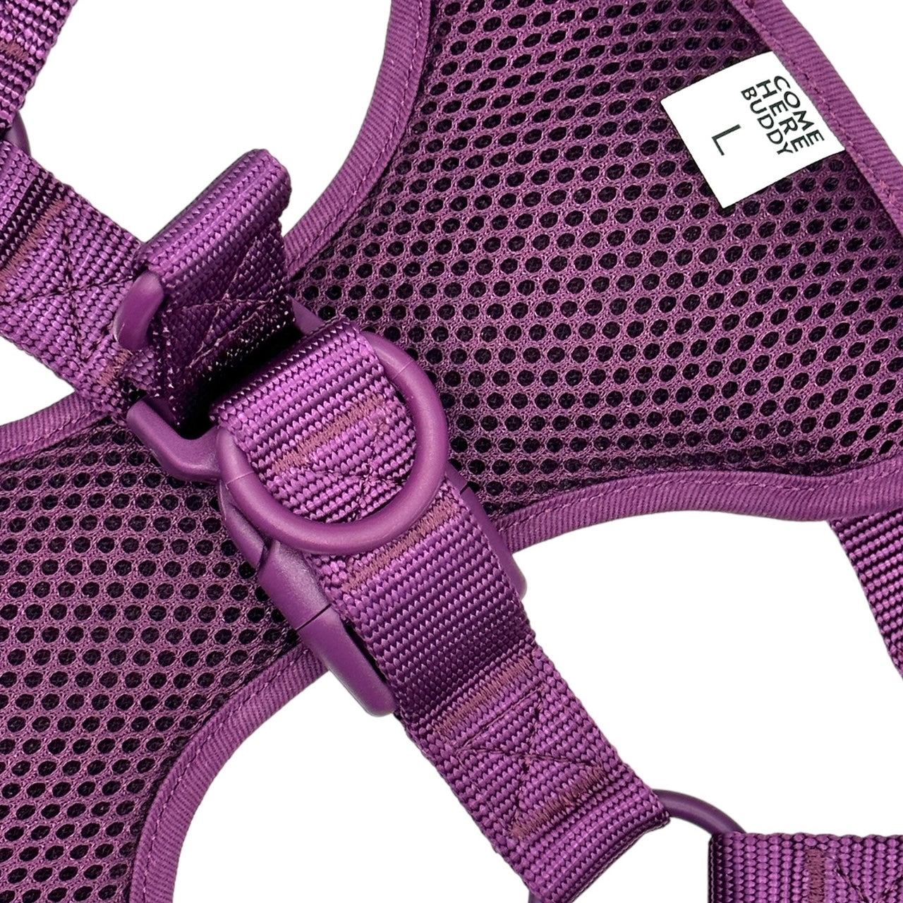 Purple padded mesh step in dog harness with adjustable straps and secure buckle
