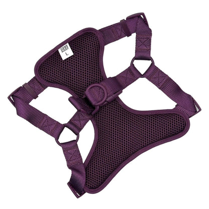 Purple padded step in dog harness with adjustable straps and secure buckles for comfortable walks