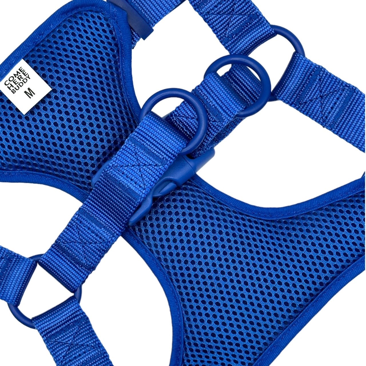 Blue padded mesh step in dog harness with adjustable straps and dual D-rings for small to medium dogs