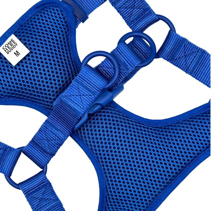 Blue padded mesh step in dog harness with adjustable straps and dual D-rings for small to medium dogs