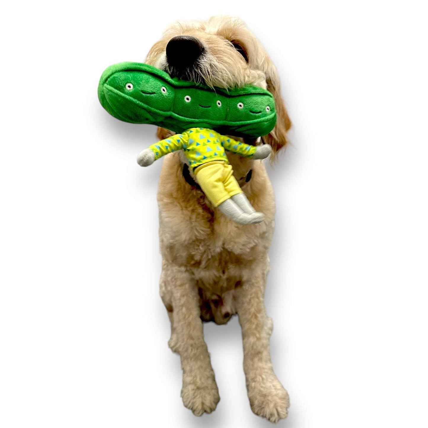 Pea Nose Work Dog Toy - Stimulating Squeaky Toy for Dogs | Sensory Fun