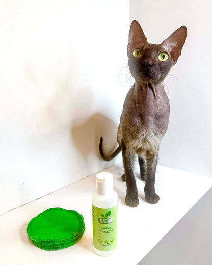 Natural pet eyewash bottle with reusable cotton pads beside a black cat