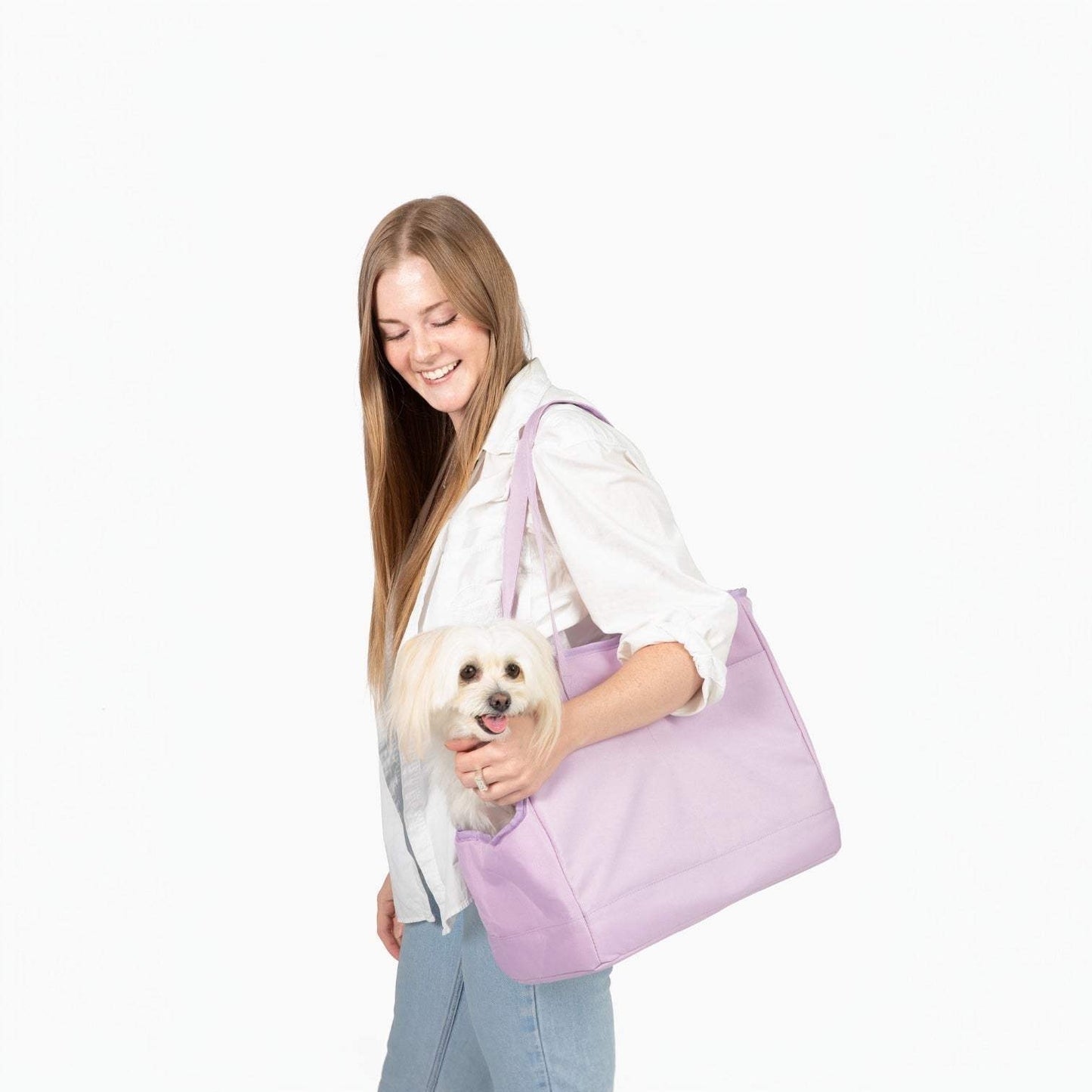 Come Here Buddy Pet Tote Bag - Lightweight, Eco-Friendly Dog Carrier
