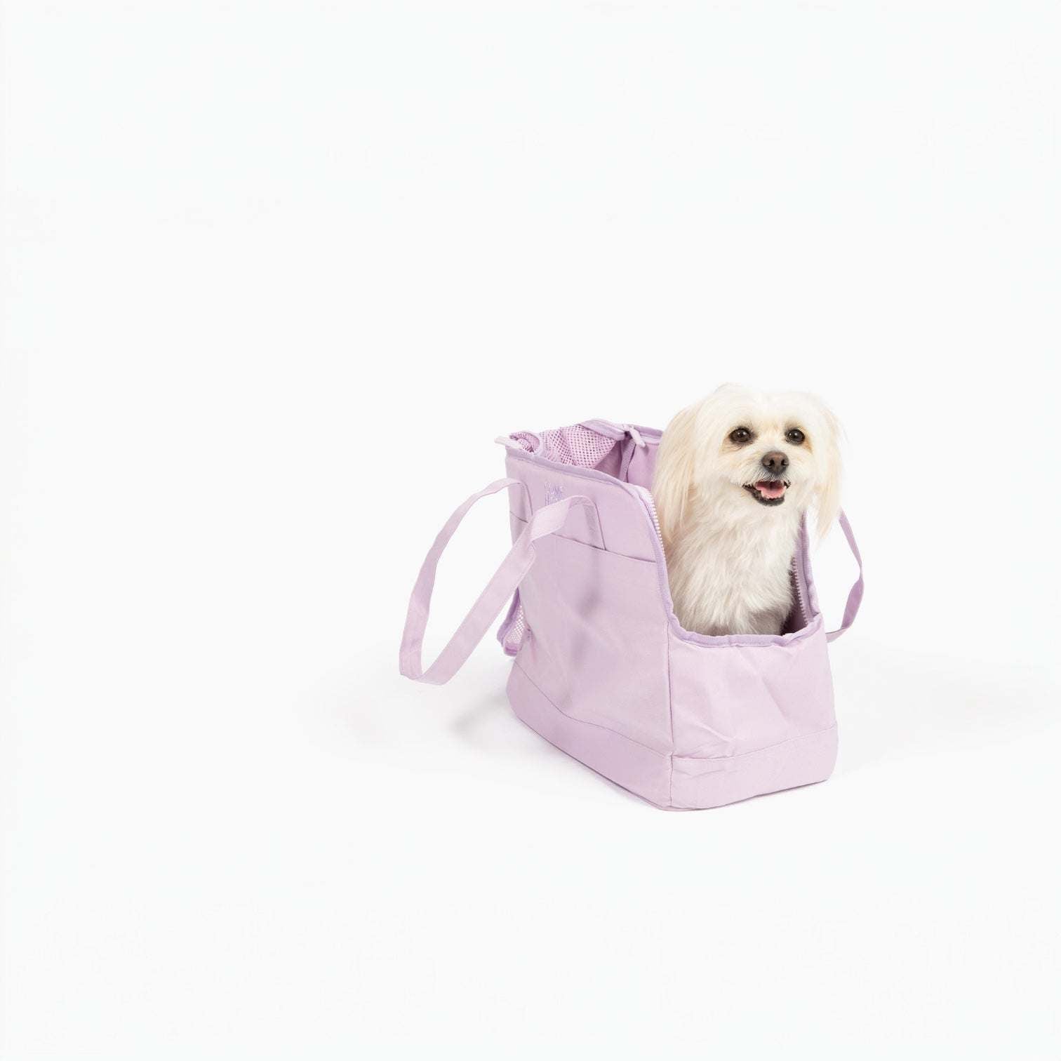 Come Here Buddy Pet Tote Bag - Lightweight, Eco-Friendly Dog Carrier