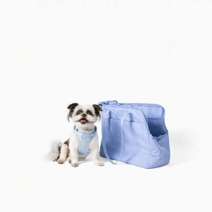 Come Here Buddy Pet Tote Bag - Lightweight, Eco-Friendly Dog Carrier