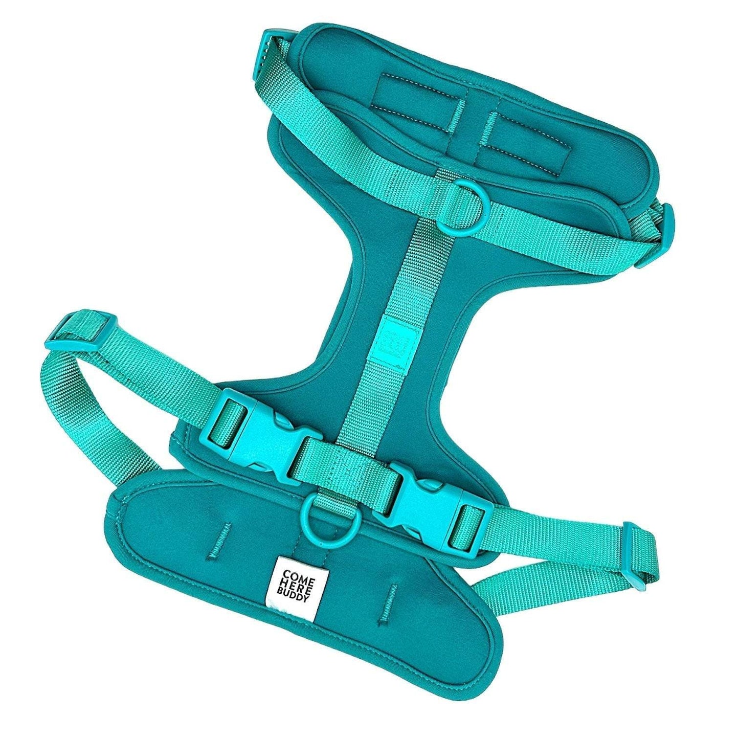 Comfortable stretchy and classic teal dog harness with adjustable straps and quick-release buckle