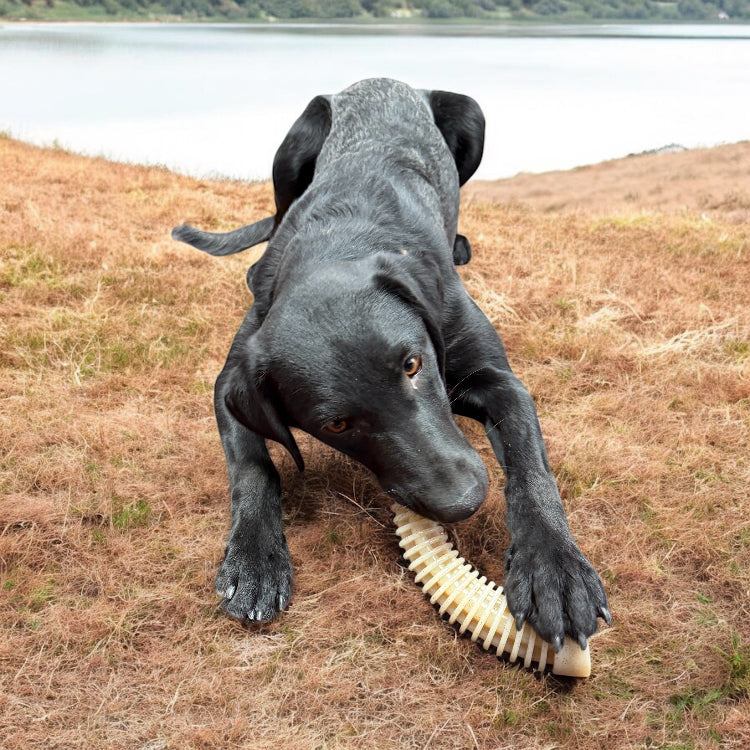 Black dog chewing on Flufflehorn Dental Antler indestructible nylon chew toy outdoors near water