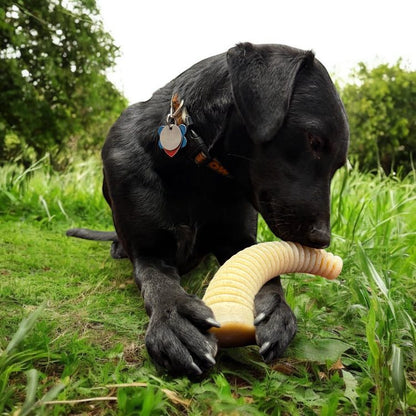 Black dog chewing on Flufflehorn Dental Antler nylon dog chew toy outdoors on grass