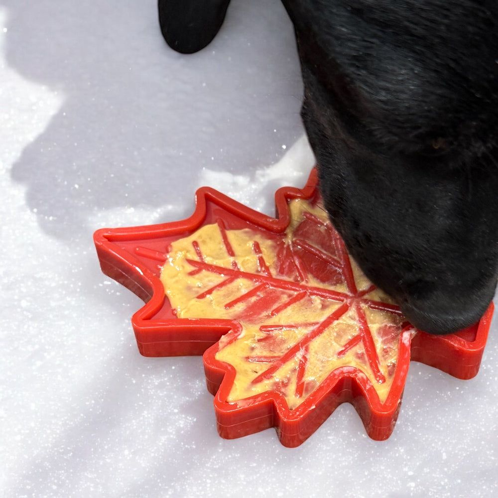 Canadian Maple Leaf shaped nylon dog chew toy with textured surface for heavy chewers